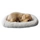 thumbnail image 5 of Juguetes De Peluche Para Dormir Con Alfombra, Figura De Simulación, Estantería, Decoración, Labrador, 5 of 5