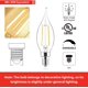 thumbnail image 2 of Bombilla LED Sengled E12 regulable 40W 2700K - Pack de 24 unidades, 2 of 6
