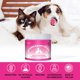thumbnail image 4 of Tratamiento Para Lipomas En Perros Polvo De Hongo Cola De Pavo 130 G, 4 of 6