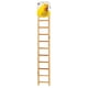thumbnail image 1 of Escalera de madera para pájaros Prevue Hendryx Birdie Basics, 11 peldaños, 1 of 2