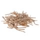 thumbnail image 5 of 125g Ramas De Madera Flotante Natural DIY Decoraciones Artesanales De Madera Rústica 80-190mm, 5 of 5