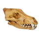 thumbnail image 4 of Réplica De Resina De Calavera Realista Falsa Cabeza De Enseñanza Modelo De Esqueleto Acuario 3, 4 of 5