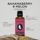 thumbnail image 2 of Aceite aromático Eternal Essence Oils Bahama Berry & Melon 30 ml, 2 of 6