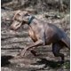 thumbnail image 5 of Correa y collar para perro Pet Life ® Serie Outdoor 'Escapade', 5 of 8