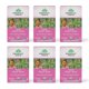 thumbnail image 1 of Té de hierbas Organic India Tulsi Sweet Rose, 18 bolsas, paquete de 6, 1 of 7