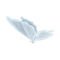 Ioensy - Lámpara Colgante De Mariposa Para Decoración De Bodas, Fiestas, Dormitorios, 60 Cm, Luz Blanca