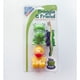 thumbnail image 3 of Set 2 Sujetadores para Cepillo de Dientes Color Verde, 3 of 3