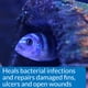 thumbnail image 4 of API MELAFIX Remedio para Infecciones Bacterianas en Peces de Agua Dulce Botella de 237 ml, 4 of 6