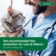 thumbnail image 4 of Tratamiento y prevención de pulgas Advantage II para gatos grandes de 9 libras o más, 4 of 8