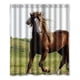 thumbnail image 1 of Cortina de ducha con diseño de caballo en ruinas, juego de cortinas de baño con ganchos, tamaño 60 x 72 pulgadas, 1 of 3