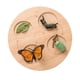 thumbnail image 4 of Bandeja De Madera Montessori Para Bicicleta, Decoración De Escritorio Para Juegos, Mariposa, 4 of 5