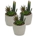 thumbnail image 1 of Plantita Artificial Deco Altura 20 Cm.., 1 of 2