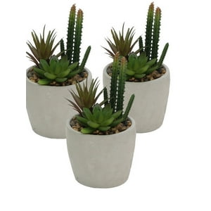 Vgo - Plantita Artificial Deco Altura 20 Cm..