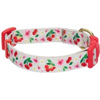 Collar De Perro Blueberry Pet Con Flores Turquesas Y Rosas Para Perros Pequeños