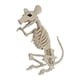 thumbnail image 4 of Crazy Bonez Ghostly Skeleton Rat Black Light Responsive Prop, 4 of 5