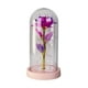 thumbnail image 1 of Rosa Eterna Encapsulada Flor Artificial Regalo Dia Del Amor, 1 of 6