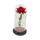 thumbnail image 4 of Flor Eterna, Cubierta De Cristal De Rosa, Flor Artificial Para Niñas, Regalo, Base Negra Con Pétalo, 4 of 5