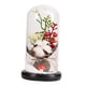 thumbnail image 1 of Adorno De Navidad Artificial Cubierta De Vidrio Para Oficina En Casa Decoración Navide?a Algodón Red Bean, 1 of 5