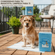 thumbnail image 4 of 50 Pañales Sabanillas Entrenamiento Absorbentes Mascota Perros 60x45cm, 4 of 7