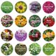 thumbnail image 2 of Kit De Flores Secas 100% Natural Para Hacer Velas De Jabón, 2 of 7