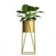 thumbnail image 1 of Gala Dorado Con Maceta Dorada M, 1 of 3