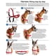 thumbnail image 3 of Arnés PetSafe Easy Walk S/M para perro, color negro, 3 of 3