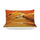 thumbnail image 3 of Garfield Bed Duvet Cover Microfiber Bedding Se3D Printed Lightweight3 Piece Comforter Se,, 3 of 5