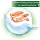 thumbnail image 3 of Detergente para Lavavajillas Cascade Complete Gel Aroma Fresco 1,3 L, 3 of 3