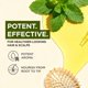 thumbnail image 3 of Aceite Esencial de Menta Piperita Gya Labs 30 ml Puro para Aromaterapia, 3 of 7