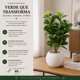 thumbnail image 5 of Planta Artificial Ficus Decorativa Maceta Decoracion Hogar blanco, 5 of 9
