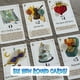 thumbnail image 4 of Juego de cartas Bezier Games Rebel Princess Deluxe Happily Never, 4 of 6