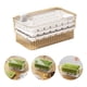 thumbnail image 1 of Caja De Moldes De Prensa Doméstica Ice Cube Tray Maker De Verde, 1 of 10
