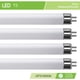 thumbnail image 2 of LED de repuesto directo F8T5/CW T5 de 5 W, 500 lm, 4100 K (paquete de 4 unidades), 2 of 4