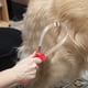 thumbnail image 5 of Deslanador tipo cuchilla NRTFE para perros y caballos de acero inoxidable, 5 of 9