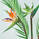 thumbnail image 2 of Flor ave del paraíso artificial, 2 of 3