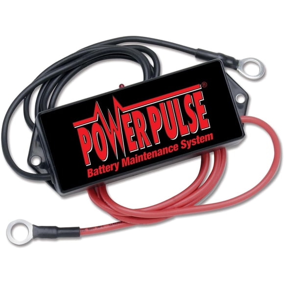 Mantenedor De Batería Powerpulse 36 Voltios Pp 36 l