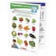 thumbnail image 3 of Guía visual de aprendizaje Sportime Grupo de alimentos: verduras, 1.º a 4.º, 3 of 4