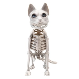 Magideal - Esqueleto De Gato Sentado, Decoración De Halloween, 15 X 24 X 34 Cm, Realista, Multifuncional, Espeluznante, Resistente, Para Habitación Embrujada,