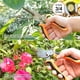 thumbnail image 2 of Set Herramientas Jardinera CHRYZTAL Acero Inoxidable 7 Piezas, 2 of 3