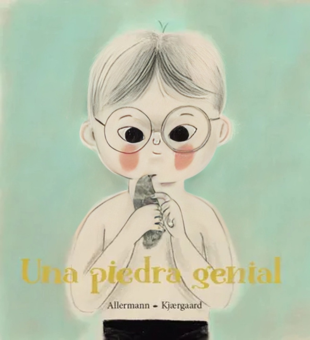 Big Sur - Libro Una Piedra Genial - Anne Sofie Allermann