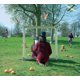thumbnail image 1 of LEGACY RECORDINGS – Una Introducción a Syd Barrett, 1 of 2