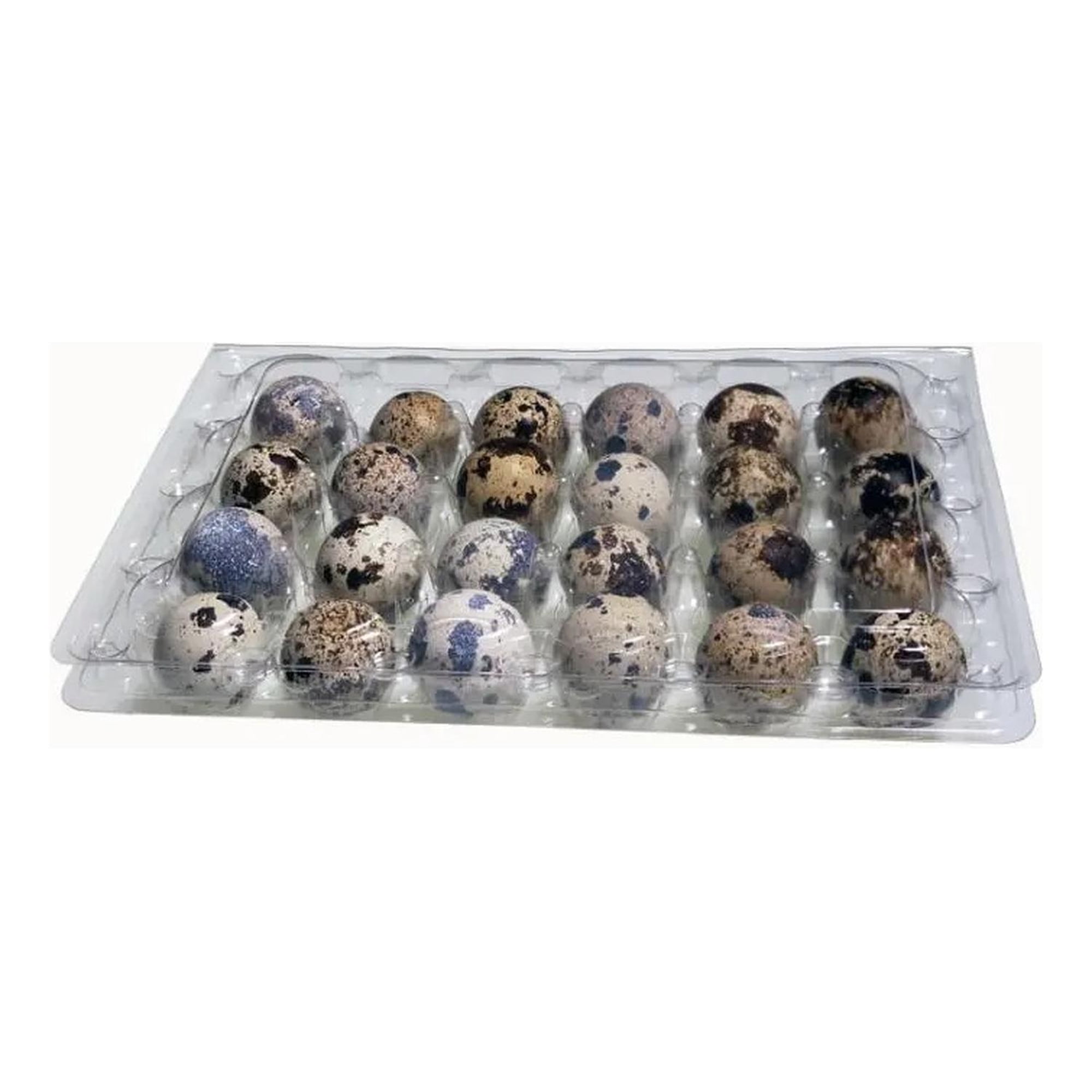 Genérica - Pack 50 Cajas Bandejas De Plástico De 24 Huevos De Codorniz