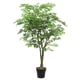 thumbnail image 2 of Arbol de la langosta de 150 cm, 2 of 2