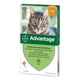 thumbnail image 2 of PACK Antiparasitario Pipeta - Advantage Gato 0-4Kg, 2 of 3