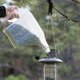 thumbnail image 2 of Contenedor para Alimento de Aves More Birds 3 en 1 Super Tote 2,3 kg, 2 of 5