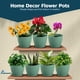 thumbnail image 4 of Macetas Lifemaster de 15 cm para interior y exterior, paquete de 3, 4 of 9
