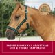 thumbnail image 2 of Cabezada para Caballo Weaver Equine Talla Media Verde, 2 of 6