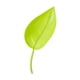 thumbnail image 4 of 10x Maceta Con Forma De Hoja, Embudo De Riego, Picos De Jardín Para El Hogar, Verde Luminoso, 4 of 5