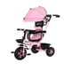 thumbnail image 1 of Triciclo Coche Infantil Con Toldo 5 en 1 Con Mango Direccional Rosado, 1 of 7