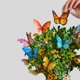 thumbnail image 5 of Tarjeta Pop‑Up de Papel Freshcut 30 cm Mariposas y Ranúnculos, 5 of 7
